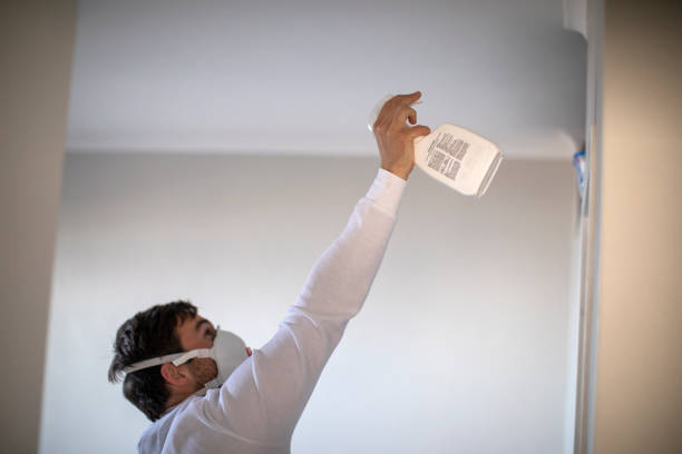 Best Mold Remediation for Specific Building Types in Amador Pines, CA